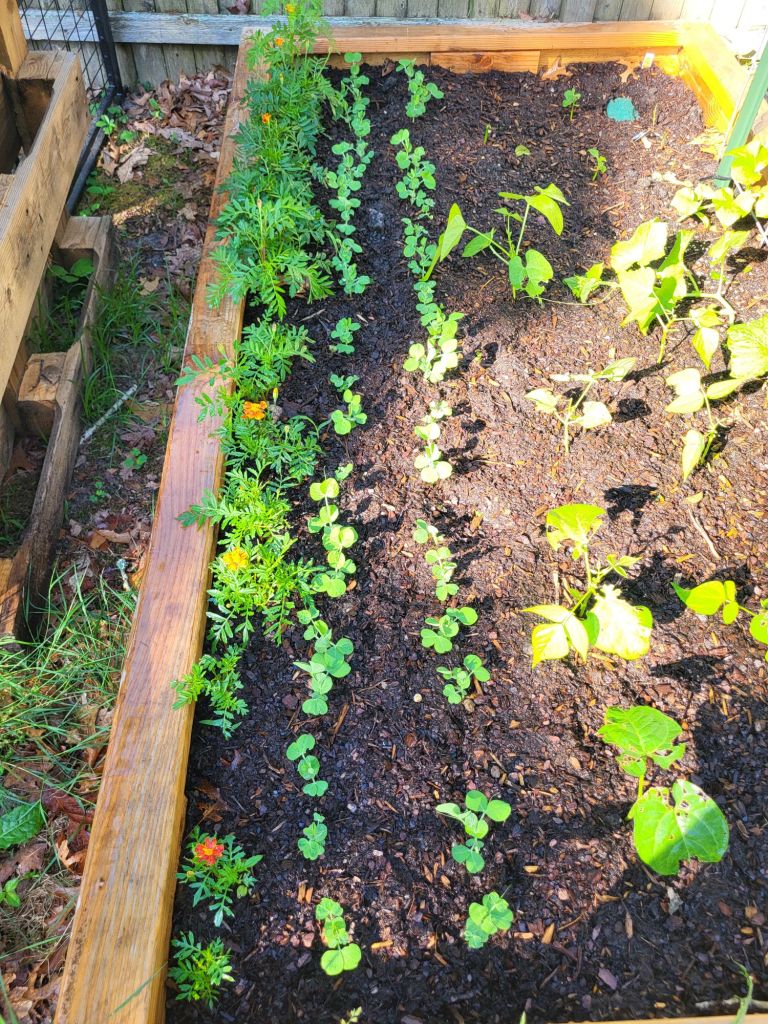 20240607_0831138805236880049555797